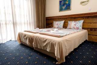 Отель Kap House Family Hotel Банско Двухместный номер с 1 двуспальной или 2 отдельными кроватями - Бесплатное посещение спа-салона-5